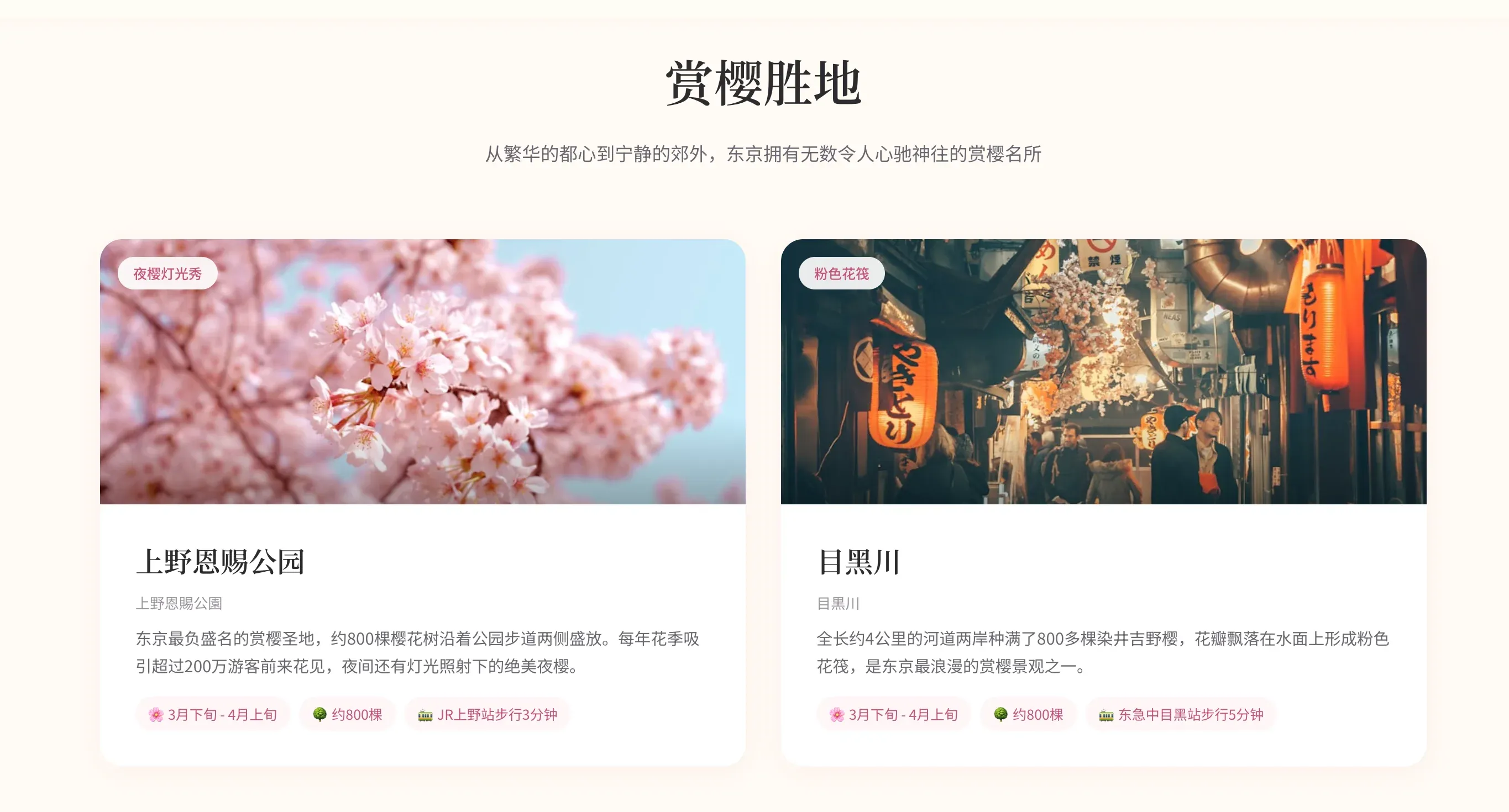 Claude Opus 4.6 workflow, screenshot 4