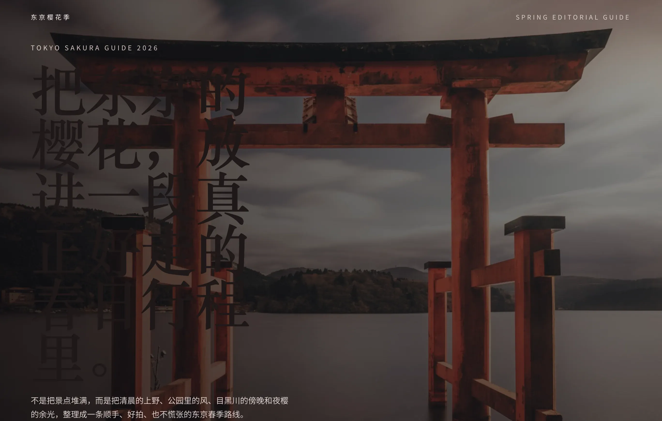 Workflow 1 result without a frontend skill, screenshot 1
