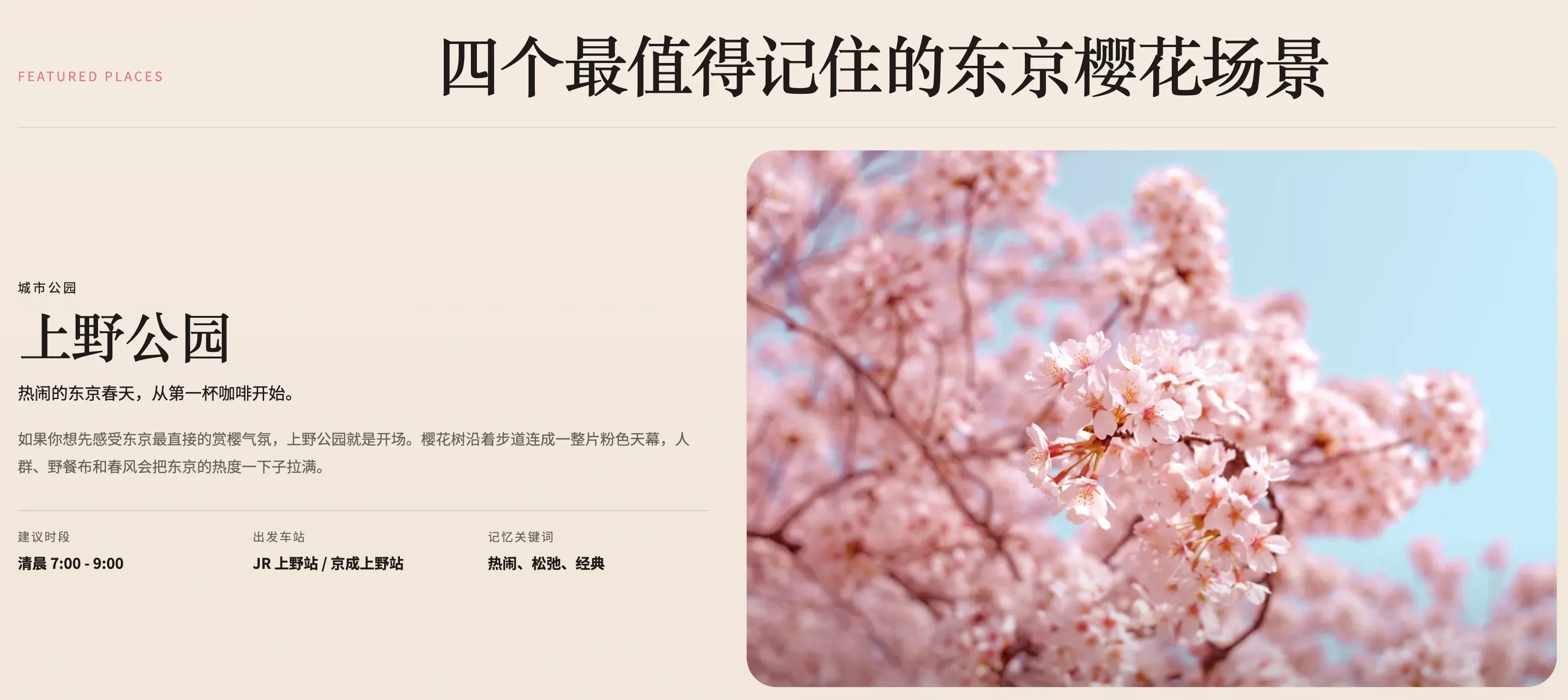 Official frontend skill workflow, screenshot 2